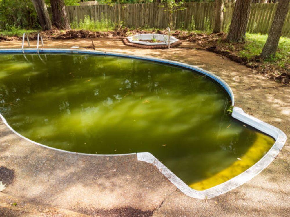 Causes of green swimming pool water